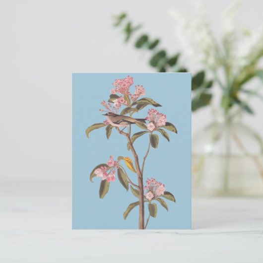 Audubon's Cuvier's Kinglet Vogel op Roze Calico-Bu Briefkaart (Staand voorkant)