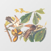 Audubon's gele koekoeienSleutelhanger Raamsticker (Vel)