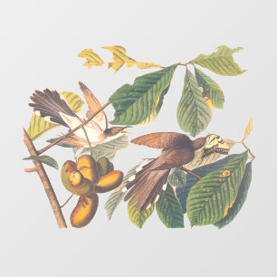 Audubon's gele koekoeienSleutelhanger Raamsticker