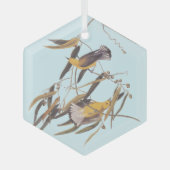 Audubon's gele prothonotary Warbler Bird Glas Ornament (Voorkant)