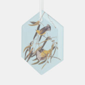 Audubon's gele prothonotary Warbler Bird Glas Ornament (Voorkant links)