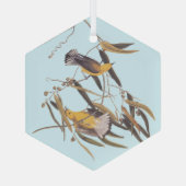 Audubon's gele prothonotary Warbler Bird Glas Ornament (Achterkant)