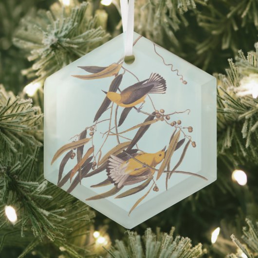 Audubon's gele prothonotary Warbler Bird Glas Ornament (Insitu)