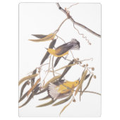 Audubon's Gele prothonotary Warbler Bird Pair Klembord (Achterkant)