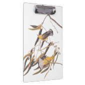 Audubon's Gele prothonotary Warbler Bird Pair Klembord (Rechts)