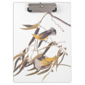 Audubon's Gele prothonotary Warbler Bird Pair Klembord (Voorkant)