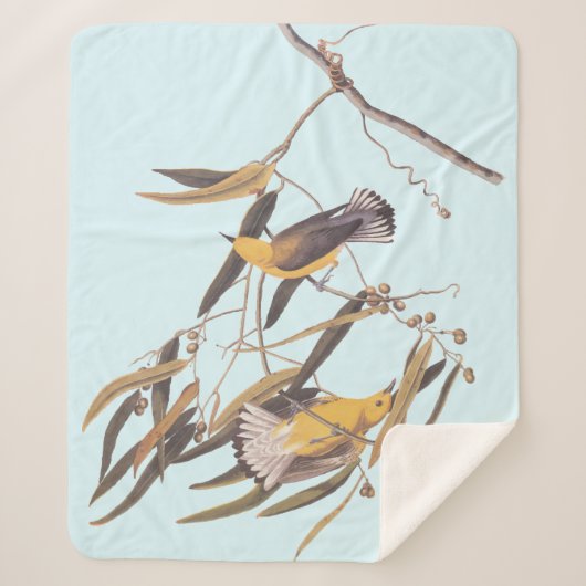 Audubon's gele prothonotary Warbler Bird Sherpa Deken (Voorkant)
