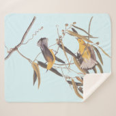 Audubon's gele prothonotary Warbler Bird Sherpa Deken (Voorkant (horizontaal))