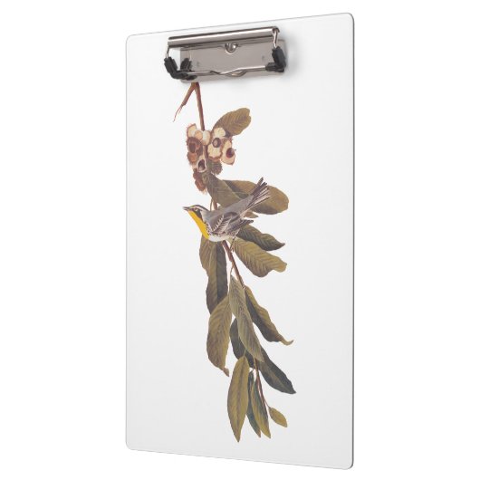 Audubon's gele warbler-vogel op boomtak klembord (Links)