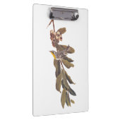 Audubon's gele warbler-vogel op boomtak klembord (Rechts)