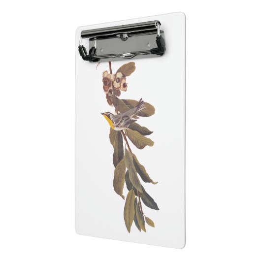 Audubon's gele warbler-vogel op boomtak mini klembord (Angled2)