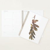 Audubon's gele warbler-vogel op boomtak planner (Display)