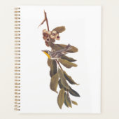 Audubon's gele warbler-vogel op boomtak planner (Voorkant)