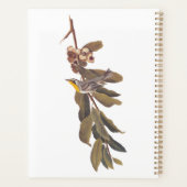Audubon's gele warbler-vogel op boomtak planner (Achterkant)