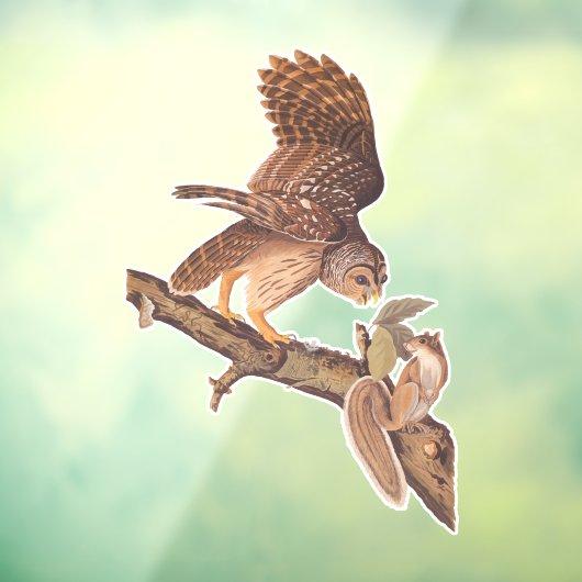 Audubons Gestreepte Uil en Eekhoorn Onwaarschijnli Raamsticker (Vel 3)