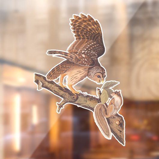 Audubons Gestreepte Uil en Eekhoorn Onwaarschijnli Raamsticker (Vel 2)