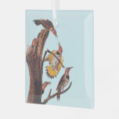 Audubon's Golden-Winged Woodpecker Familie van vog Glas Ornament (Voorkant links)