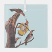 Audubon's Golden-Winged Woodpecker Familie van vog Glas Ornament (Voorkant)