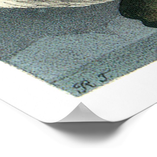 Audubon's Gyrfalcon Poster (Hoek)