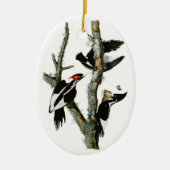 Audubon's Ivory-bult Woodpecker Keramisch Ornament (Voorkant)