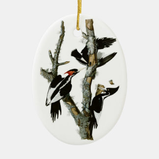 Audubon's Ivory-bult Woodpecker Keramisch Ornament