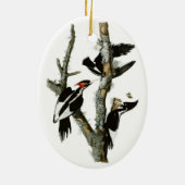 Audubon's Ivory-bult Woodpecker Keramisch Ornament (Achterkant)