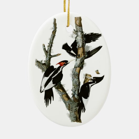Audubon's Ivory-bult Woodpecker Keramisch Ornament (Achterkant)
