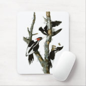 Audubon's Ivory-bult Woodpecker Muismat (Met muis)