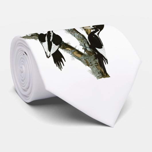 Audubon's Ivory-bult Woodpecker Stropdas (Opgerold)