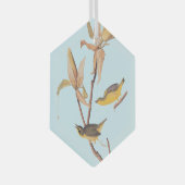 Audubon's Kentucky Warbler Bird Paar met een spin Glas Ornament (Voorkant Rechts)