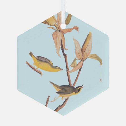 Audubon's Kentucky Warbler Bird Paar met een spin Glas Ornament (Achterkant)