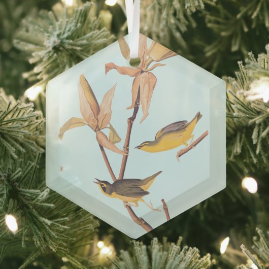 Audubon's Kentucky Warbler Bird Paar met een spin Glas Ornament (Insitu)