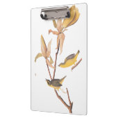 Audubon's Kentucky Warbler Bird Paar met een spin Klembord (Links)