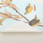 Audubon's Kentucky Warbler Bird Paar met een spin Sherpa Deken (3/4)