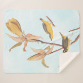 Audubon's Kentucky Warbler Bird Paar met een spin Sherpa Deken (Voorkant (horizontaal))