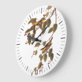 Audubon's koolzuurhoudende Warbler-vogel in de die Grote Klok (Hoek)