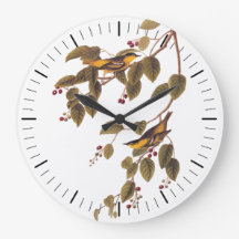 Audubon's koolzuurhoudende Warbler-vogel in de die