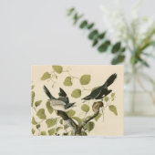 Audubon's Loggerhead Shrike Briefkaart (Staand voorkant)