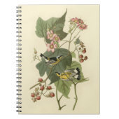 Audubon's Magnolia Warbler Notitieboek (Voorkant)