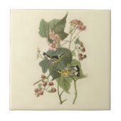 Audubon's Magnolia Warbler Tegeltje (Voorkant)