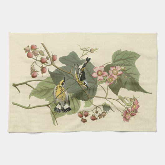 Audubon's Magnolia Warbler Theedoek (Horizontaal)