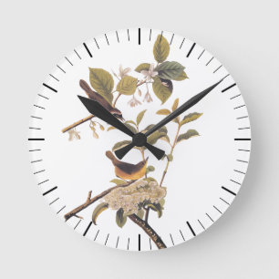 Audubon's maryland Yellowkeelvogels met bloemen Ronde Klok