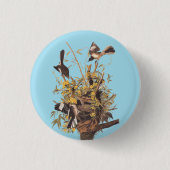 Audubon's Mockingvogels vs Rattlesnake Ronde Button 3,2 Cm (Voorkant)