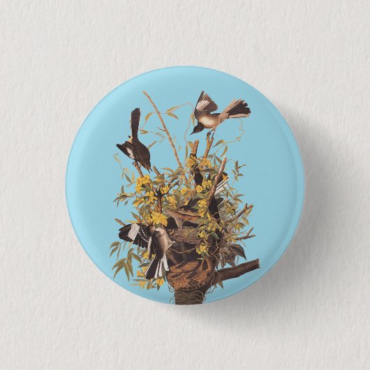 Audubon's Mockingvogels vs Rattlesnake Ronde Button 3,2 Cm (Voorkant)