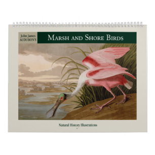 Audubon's moeras- en kustvogels 2025 kalender
