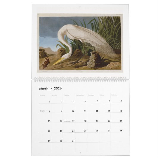 Audubon's moeras- en kustvogels 2026 kalender (Mar 2026)