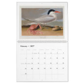 Audubon's moeras- en kustvogels 2026 kalender (Feb 2027)