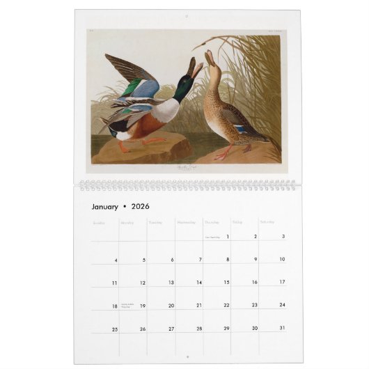 Audubon's moeras- en kustvogels 2026 kalender (Jan 2026)