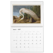Audubon's moeras- en kustvogels 2026 kalender (Mar 2027)
