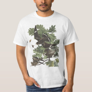 Audubon's Night Hawk T-shirt